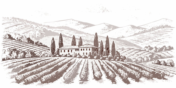 A vintage sketch depicts a tuscan villa surrounded by vineyards and hills