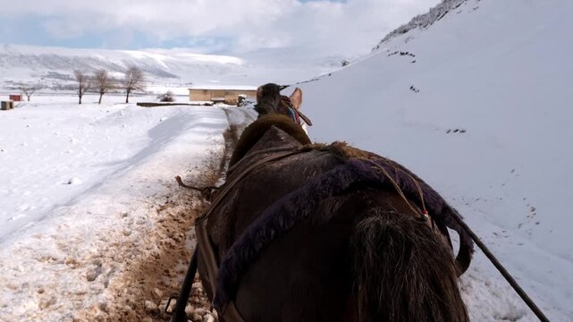 Point of view from behind a horse pulling a cart along a snowy rural road. Wide winter plains and distant mountains create a cinematic countryside journey scene.