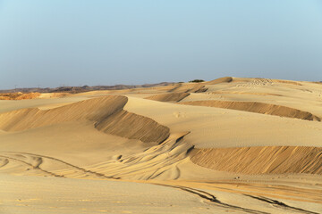 Sand dunes. Sea sand area. Sultanate of Oman. Governorate of Dhofar. Salalah