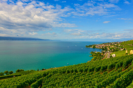 Lavaux terraced Vineyards along the shores of Lake Geneva, Vaud, Switzerland