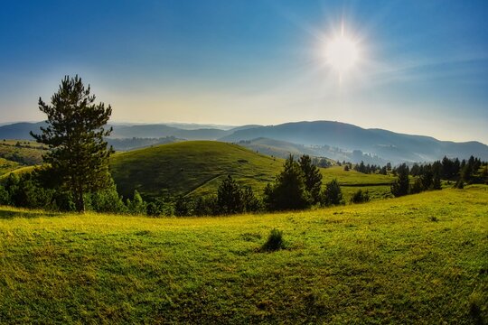 Sunburst over a rolling alpine landscape in summer near Horgen, Canton of Zurich, Switzerland