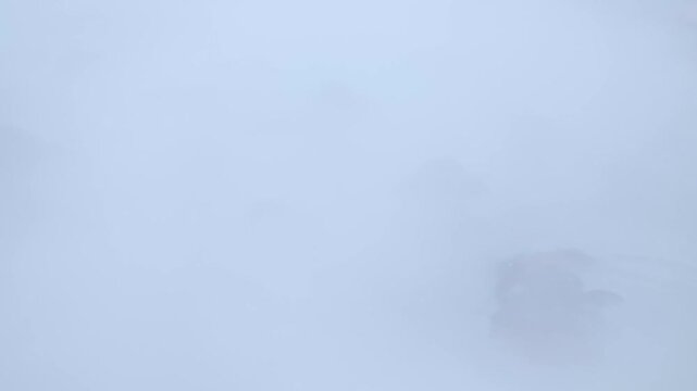 A horse-drawn cart moves across a snowy field beside leafless trees. Wide winter landscape and soft sky create a peaceful cinematic rural scene with strong minimal composition.
