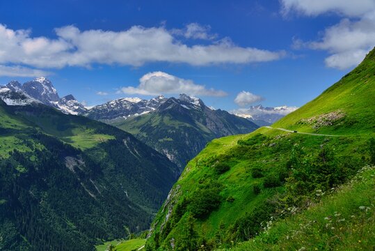 Lush alpine landscape with snowcapped mountain peaks in the distance, Obere Balm, Klausen pass, Uri, Switzerland