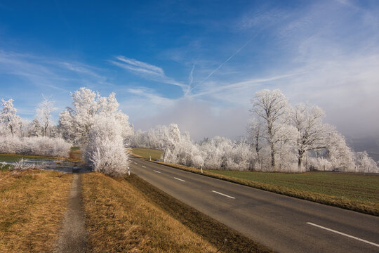 Straight road through a rural landscape with trees covered in hoarfrost, Aargau, Switzerland