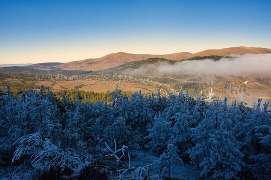 Aerial view of frost covered pine treetops in the shade with a mountain backdrop, Mt Zlatibor, Zlatibor Mountain Range, Serbia