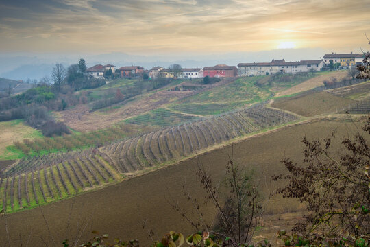 Hilltop village and Winter vineyards in La Morra, Langhe,  Piedmont, Italy