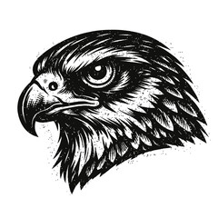 Obraz premium Majestic Black & White Eagle Head Vector Art with Gritty Textured Detail – Powerful Avian Illustration for T-Shirts, Logos, Tattoos, and Brand Identity – Striking Wildlife Bird of Prey Artwork Design.