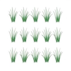 Fototapeta premium Watercolor illustration of green grass elements on white background