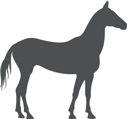 Obraz premium Farm horse black icon. Ranch animal silhouette