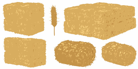 Assorted hay bales and a wheat stalk arranged on a white background © Anik