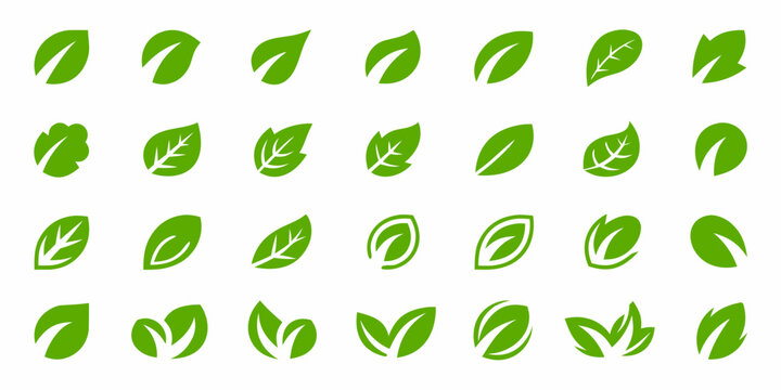 Collection of vibrant green leaves in various shapes and orientations