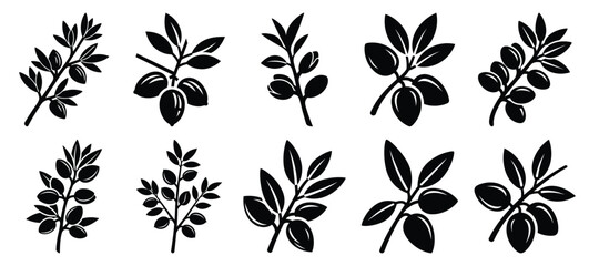 silhouette nature almond branch drawing icons and set of graphics nature elements © Bipul