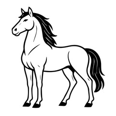 Standing Horse Line Art Illustration