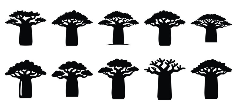 silhouette nature baobab tree drawing icons and set of graphics nature elements