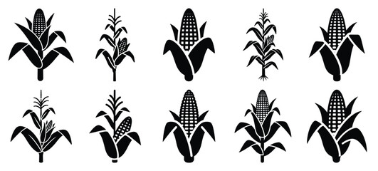 silhouette nature corn stalk drawing icons and set of graphics nature elements © Bipul