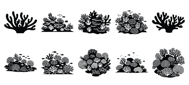 silhouette nature coral reef drawing icons and set of graphics nature elements