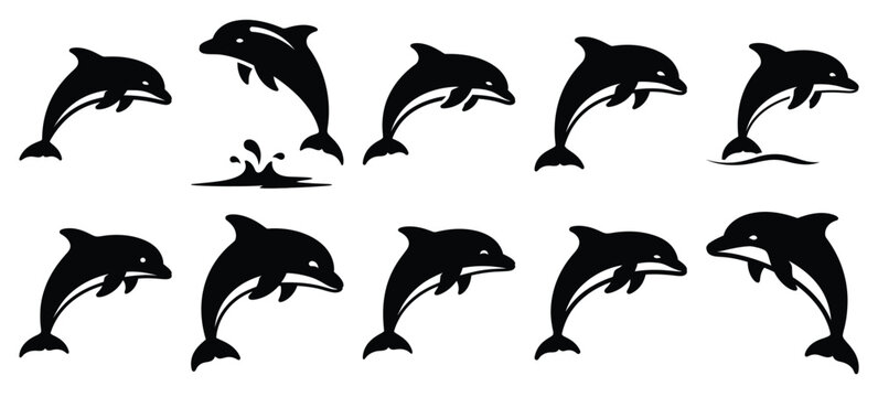 silhouette nature dolphin jump drawing icons and set of graphics nature elements