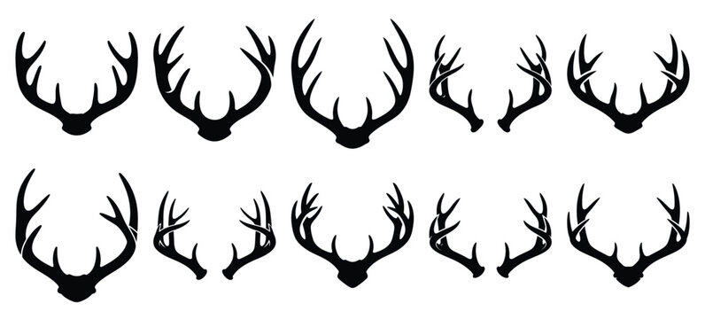 silhouette nature deer antler drawing icons and set of graphics nature elements