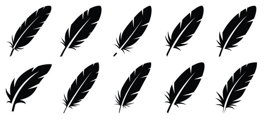 silhouette nature feather light drawing icons and set of graphics nature elements © Bipul