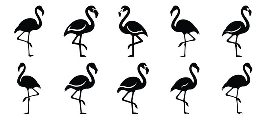 Obraz premium silhouette nature flamingo stand drawing icons and set of graphics nature elements