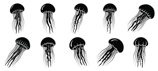 silhouette nature jellyfish drift drawing icons and set of graphics nature elements © Bipul