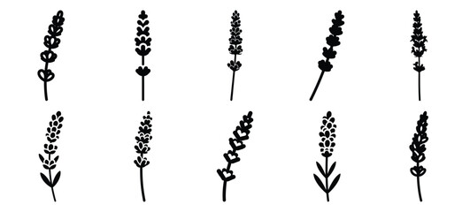 silhouette nature lavender stem drawing icons and set of graphics nature elements © Bipul