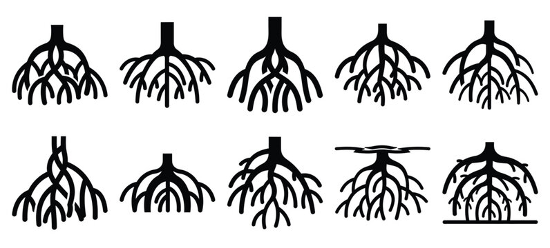 silhouette nature mangrove root drawing icons and set of graphics nature elements