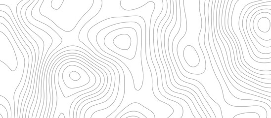 Geometric topographic map background with horizontal wave lines mountain relief texture. abstract geography illustration modern graphic design. © Vector Gallery