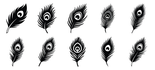 silhouette nature peacock feather drawing icons and set of graphics nature elements © Bipul