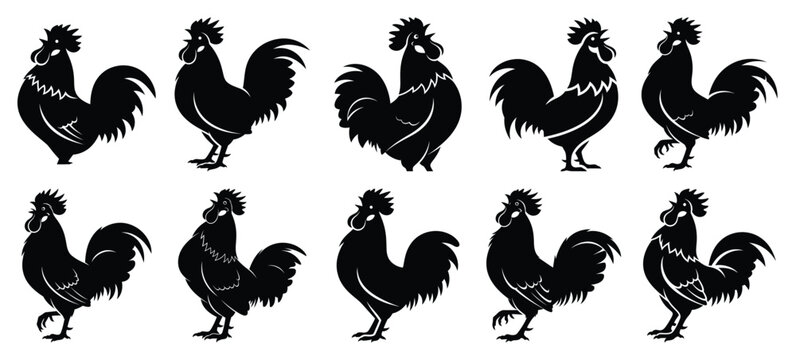 silhouette nature rooster crow drawing icons and set of graphics nature elements