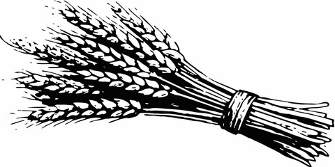 A black and white illustration of a bundled sheaf of wheat stalks © Ankan