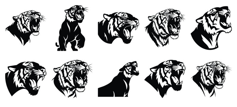 silhouette nature tiger roar drawing icons and set of graphics nature elements