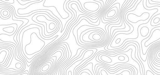 Fototapeta premium Modern topographical contour map background. topography wavy geometric lines relief surface pattern abstract vector illustration.