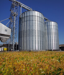 industrial grain storage elevator located next to an agricultural field © pavlobaliukh