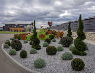 modern landscape design of the home territory, curly cut bushes (topiaries), decorative grasses or shrubs on gravel