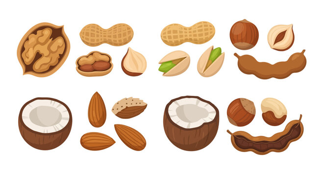A colorful assortment of various nuts and seeds in cartoon style