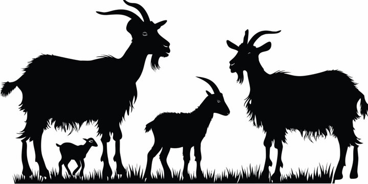 Silhouette of a goat family standing in a grassy field