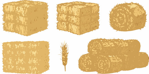 Assorted hay bales and wheat stalks arranged on a white background © Partha