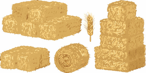 Stacked hay bales and a wheat stalk on a white background © Partha