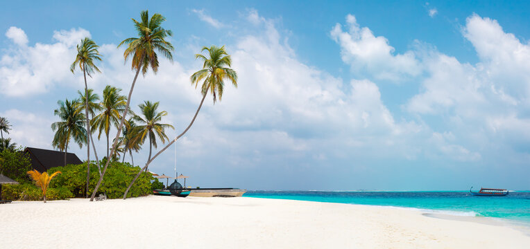 Vacation summer holidays leisure background - sunny tropical Caribbean paradise resort beach with white sand, lounger, palms on Maldive