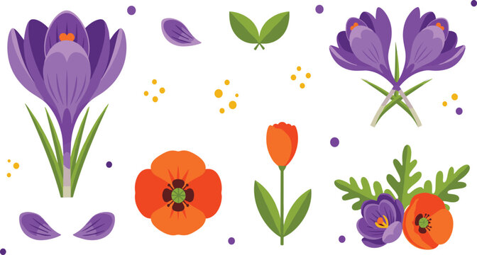 Spring flower vector set with crocus and poppy blossoms leaves petals and decorative floral elements for seasonal nature design.