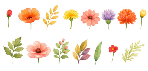 Obraz premium A charming watercolor collection of wildflower botanicals, featuring poppies, daisies, dandelions, leafy sprigs, delicate buds, and soft pastel blooms