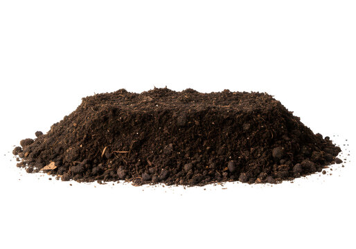 Soil, dirt and earth mound cross section for gardening or agriculture against on white or transparent background