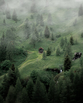 View of a lonely cabin nestled on a verdant hill, shrouded in mist and surrounded by tall fir trees in Passo di Giau, Veneto, Italy.