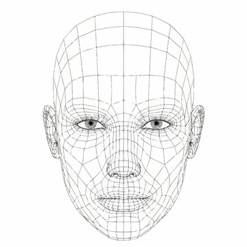 Wireframe mesh of a human face representing digital identity and technology.