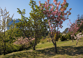 Fototapety na wymiar - Fototapeta24.pl