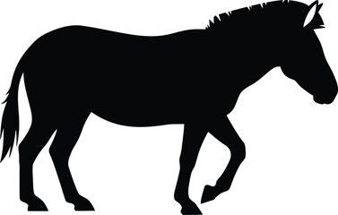 Obraz premium Black horse silhouette vector illustration