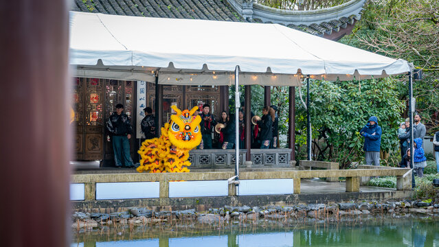 View of a vibrant yellow lion dance costume bursts with color on a pavilion stage reflected in the still pond waters, Portland, Oregon, United States.