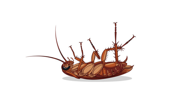 A single brown cockroach with long antennae and spiny legs lies dead on its back against a solid white background with a soft gray shadow.