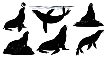 Obraz premium Seal Silhouettes Collection: Various Poses and Actions